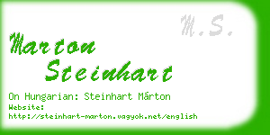 marton steinhart business card